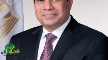 السيسي يفي. بوعده الإنساني ويشارك ابنة الشهيد مالك مهران في عقد قرانها1