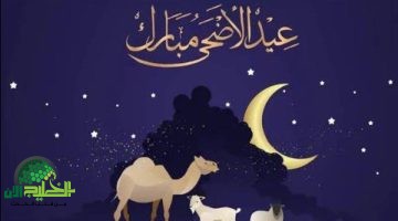 العد التنازلي لـ عيد الأضحى 2025. كل ما تريد معرفته عن المواعيد الرسمية والعطلات