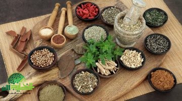 العلاج بالأعشاب . اكتشف أقوى الوصفات الطبيعية لمحاربة السرطان والأمراض المزمنة