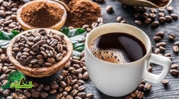 القهوة وقلبك. دراسة تكشف أفضل وأسوأ طرق التحضير لصحة قلبك