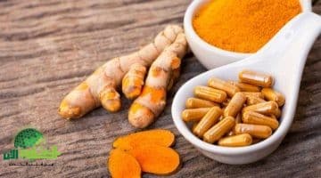 الكركم . التوابل الذهبية التي تفوقت على الأدوية في 10 فوائد صحية دراسات حديثة