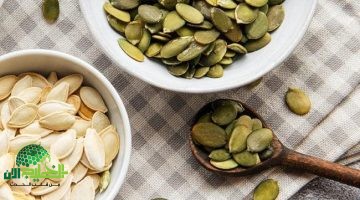 اللب الأبيض بين الفوائد الصحية والمخاطر المحتملة