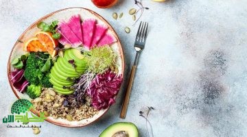 الوجبة الأكثر صحة في العالم مزيج مثالي بين العلم والمتعة لتغذية متكاملة