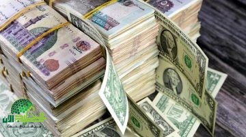 انخفاض مذهل للدولار أمام الجنيه المصري. تفاصيل أحدث أسعار الصرف في 9 بنوك رائدة