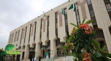 برنامج الطب المنزلي بمستشفى النور . رعاية صحية شاملة في منازل المرضى1