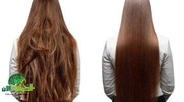 بروتين طبيعي للشعر في المنزل وصفة سحرية لفرد وتنعيم الشعر بدون مواد كيميائية 1