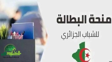 تجديد منحة البطالة الجزائرية 2025. كل ما تحتاج معرفته لضمان استمرارية الدعم