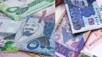 تحديث حصري. تطورات سعر الريال السعودي مقابل الجنيه المصري وأفضل استراتيجيات التحويل