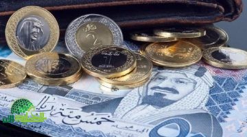 تحليل مفاجأة سعر الريال السعودي أمام الجنيه المصري اليوم – توقعات وآثار اقتصادية