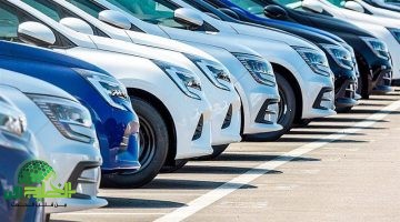تفاصيل القرار الصادم. شروط جديدة للإفراج عن سيارات ذوي الهمم 2025