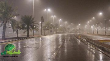توقعات طقس السعودية اليوم أمطار رعدية وتقلبات جوية