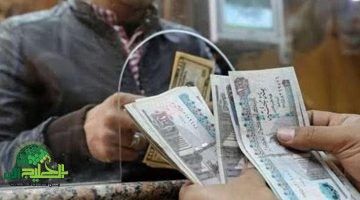 جدول شرائح التأمينات الاجتماعية الجديد في مصر 2025. كل ما تحتاج معرفته