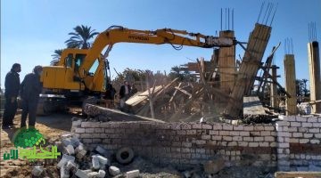 جهود أسيوط مكافحة التعديات على الأراضي الزراعية وأملاك الدولة1