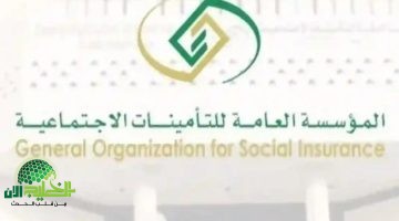 خريطة ضمان جديدة 2025. كل التفاصيل عن تحديثات التأمينات الاجتماعية في مصر
