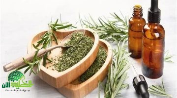خلطة زيت الزيتون والكمون. سر جمال شعرك في 3 أيام فقط