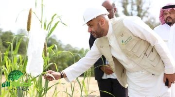 دعم ريف 1446. فرصة ذهبية لدعم مشاريع الأسر المنتجة في المناطق الريفية 2