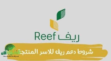 دعم ريف للأسر المنتجة 1446. شروط الاستحقاق وآلية التقديم