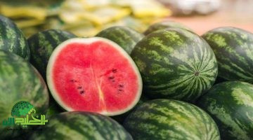 دليل اختيار البطيخة المثالية. 7 أسرار لا يعرفها الكثيرون