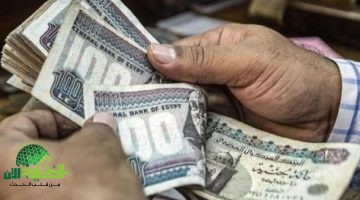 زيادة الأجور. نقلة نوعية في سياسات الدخل والعمل