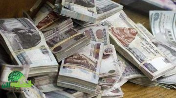 زيادة المعاشات 2025 في مصر. كل ما تريد معرفته عن الموعد والنسب والإجراءات