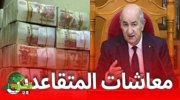 زيادة رواتب المتقاعدين والعسكريين 2025 في الجزائر. تفاصيل التحديث وأثرها الرجعي