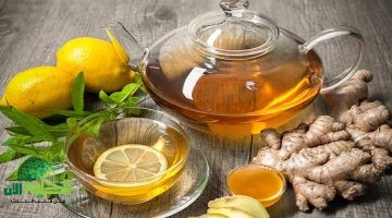 سر الأطباء لصحة كبد خالية من السموم مشروب الزنجبيل السحري قبل الفطور