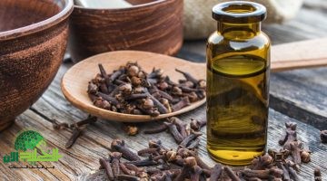 سر جاذبية الفتاة السعودية . كيف تضاعفت أنوثتها بوصفة القرنفل في 3 أيام فقط؟11