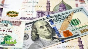 سعر الدولار اليوم في مصر 21 أبريل 2025. أحدث التحديثات في البنوك والسوق السوداء