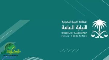 سلم رواتب النيابة العامة 1446. دليل شامل لجميع المستويات والدرجات