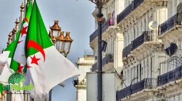 سن التقاعد في الجزائر 2025. كل ما تحتاج معرفته عن القانون الجديد والتعديلات الأخيرة