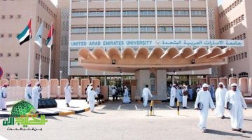شروط القبول في جامعة الإمارات للوافدين 2025. دليل شامل للمتقدمين