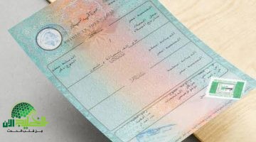 شهادة الميلاد الرقمية أصبحت حقيقة كيف تحصل عليها وما مميزاتها؟