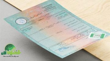 شهادة الميلاد الرقمية للأسر الحاضنة. ثورة في الخدمات الحكومية