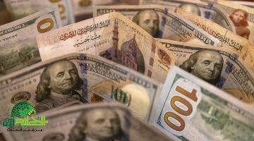 صدمة في الأسواق. الدولار يحقق أعلى مستوى في التاريخ أمام الجنيه المصري