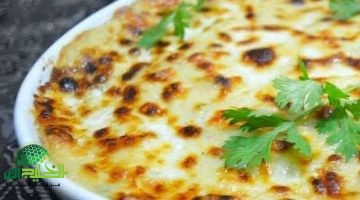 طريقة تحضير صينية النجرسكو بالفراخ. وصفة كلاسيكية بطعم عصري