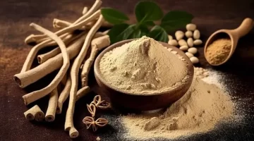 عشبة الأشواجندا معجزة الطبيعة لتعزيز صحة الدماغ والجسم