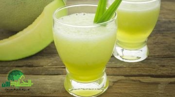 عصير الكنتالوب مثل فرغلي. وصفة منزلية سهلة بمذاق لا يقاوم