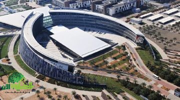 فرصة ذهبية للدراسة في جامعة الإمارات 2025. شروط قبول الوافدين وكيفية التقديم