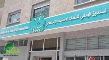 كنبوكس المغرب. دليل شامل لأحدث منصة تسوق إلكتروني مع خطوات التسجيل