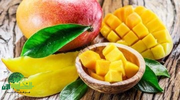كيف تخزنين المانجو الفريزر لتستمتعي بها طوال العام؟1