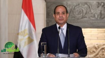 كيف تعزز التوجيهات الرئاسية مناخ الاستثمار في مصر؟