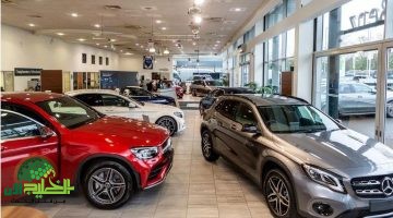 كيف يؤثر انخفاض أسعار الفائدة على سوق السيارات في مصر