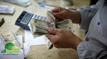 مستقبل شهادات الادخار مصر بعد خفض أسعار الفائدة1