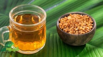 مشروب الحلبة الصباحي كنز صحي يغير حياتك