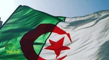 منحة 8000 دج للمرأة الماكثة بالبيت في الجزائر. دعم اجتماعي وتمكين اقتصادي حقيقي 2