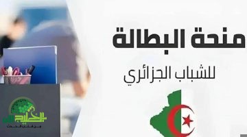 منحة البطالة 2025 في الجزائر. فرصة ذهبية للتخفيف من الأعباء المالية