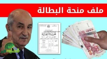 منحة البطالة في الجزائر 2025. دعم حقيقي للشباب وتسهيلات رقمية شاملة