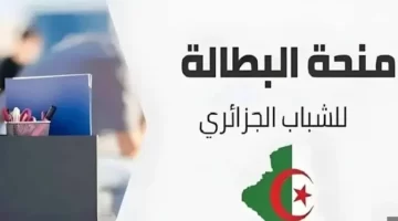 منحة البطالة في الجزائر 2025. فرصة ذهبية لدعم الباحثين عن عمل