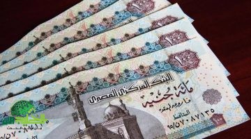 منحة العمالة غير المنتظمة 2025. رابط التسجيل، الشروط، وخطوات الحصول على الدعم 1