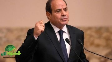 موقف مصر الحازم تجاه القضية الفلسطينية . دعم السلام ورفض التهجير